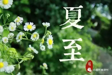 有关夏至的优美诗词精选（夏至经典诗句）