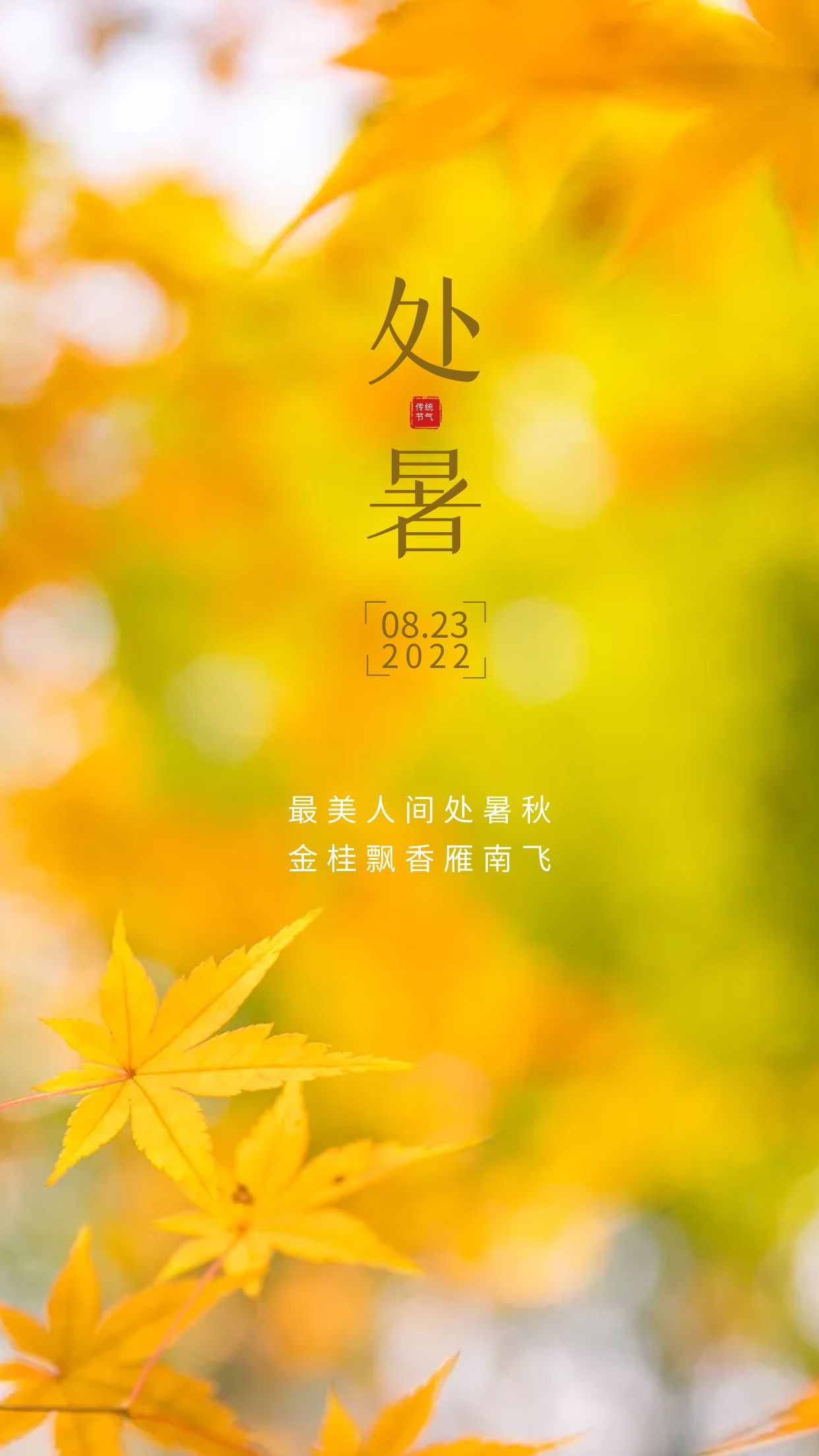 处暑朋友圈祝福语文案（处暑短信问候语）