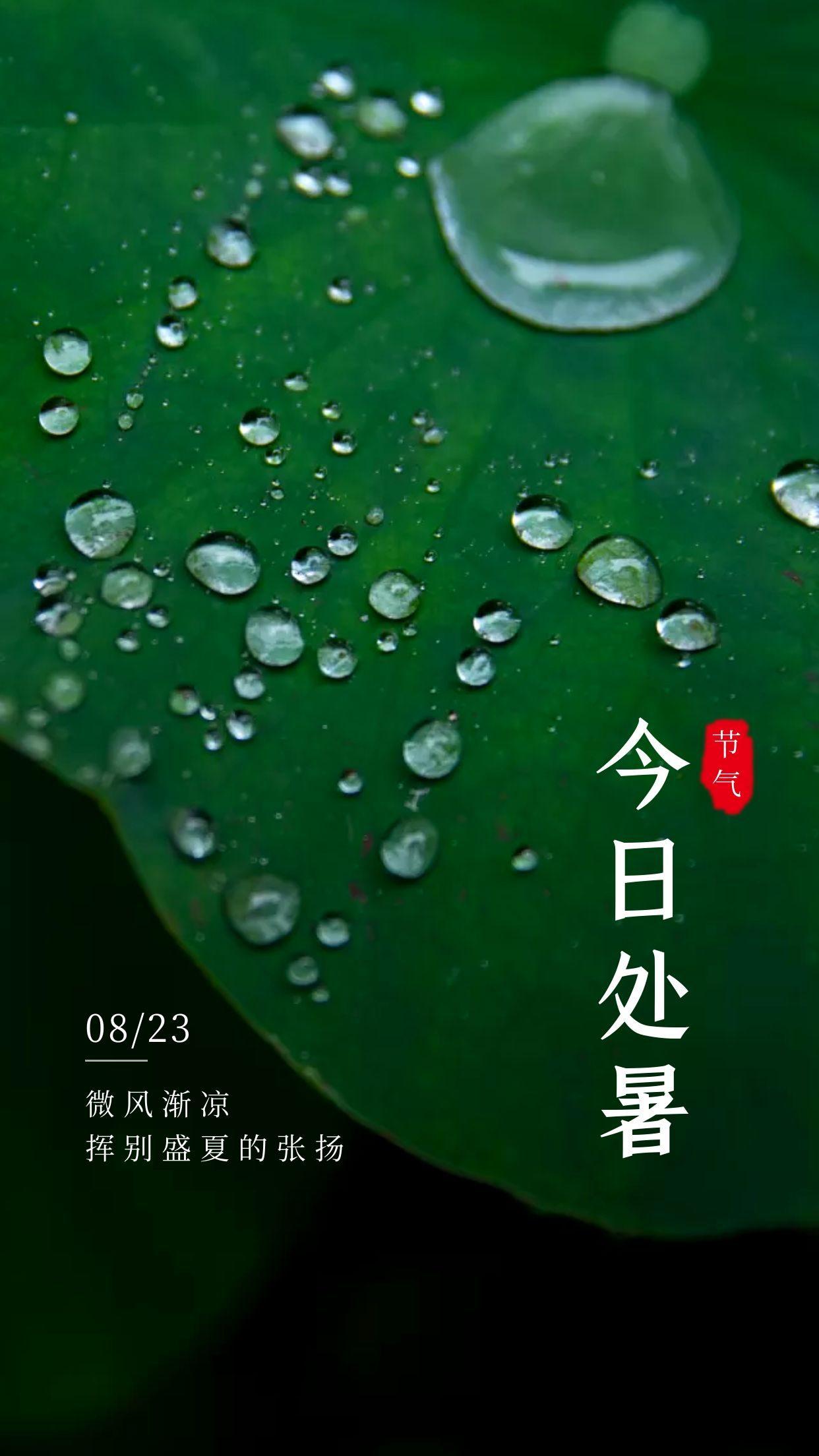 处暑朋友圈祝福语文案（处暑短信问候语）