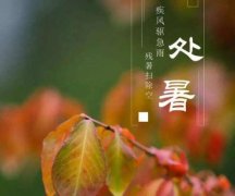 处暑节气问候句子分享（处暑微信问候语）