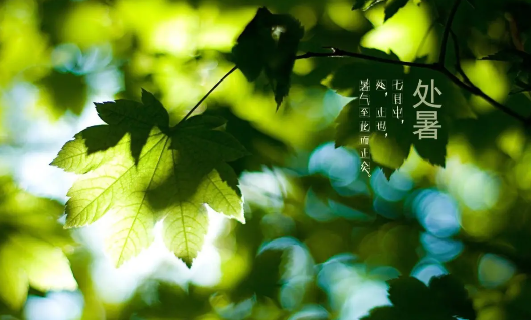 祝君安康，愿你收获满满（关于处暑的古诗词）