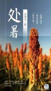 有关处暑节气诗词五首赏析（赞美处暑唯美诗句）