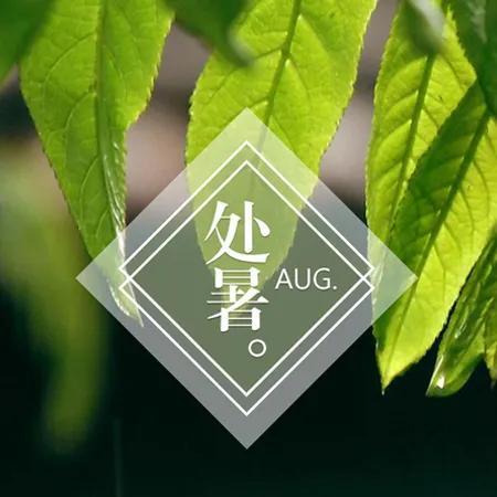 处暑节气的简短句子（处暑节气的问候语）