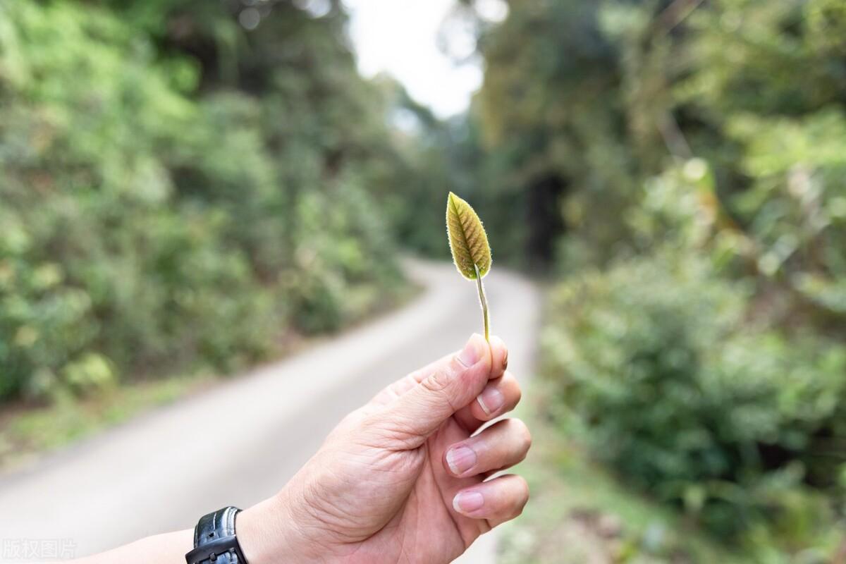 各自修行，各自向前（清晨催人奋进的励志文案）