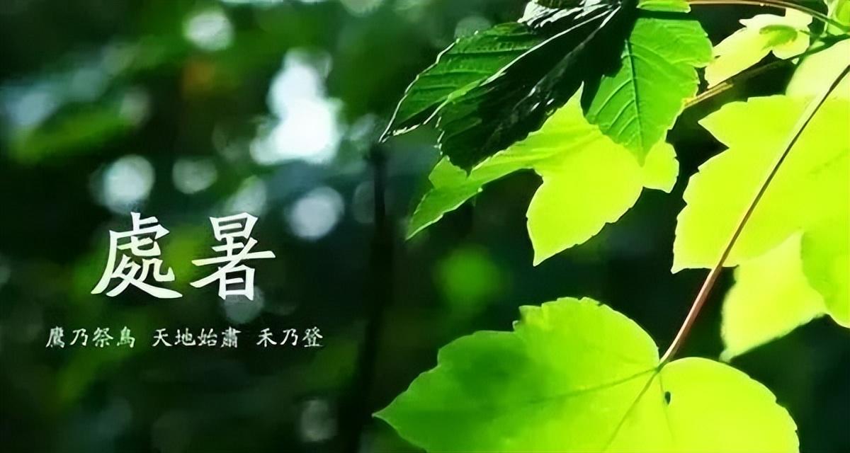 关于处暑的祝福句子（处暑短信问候语）