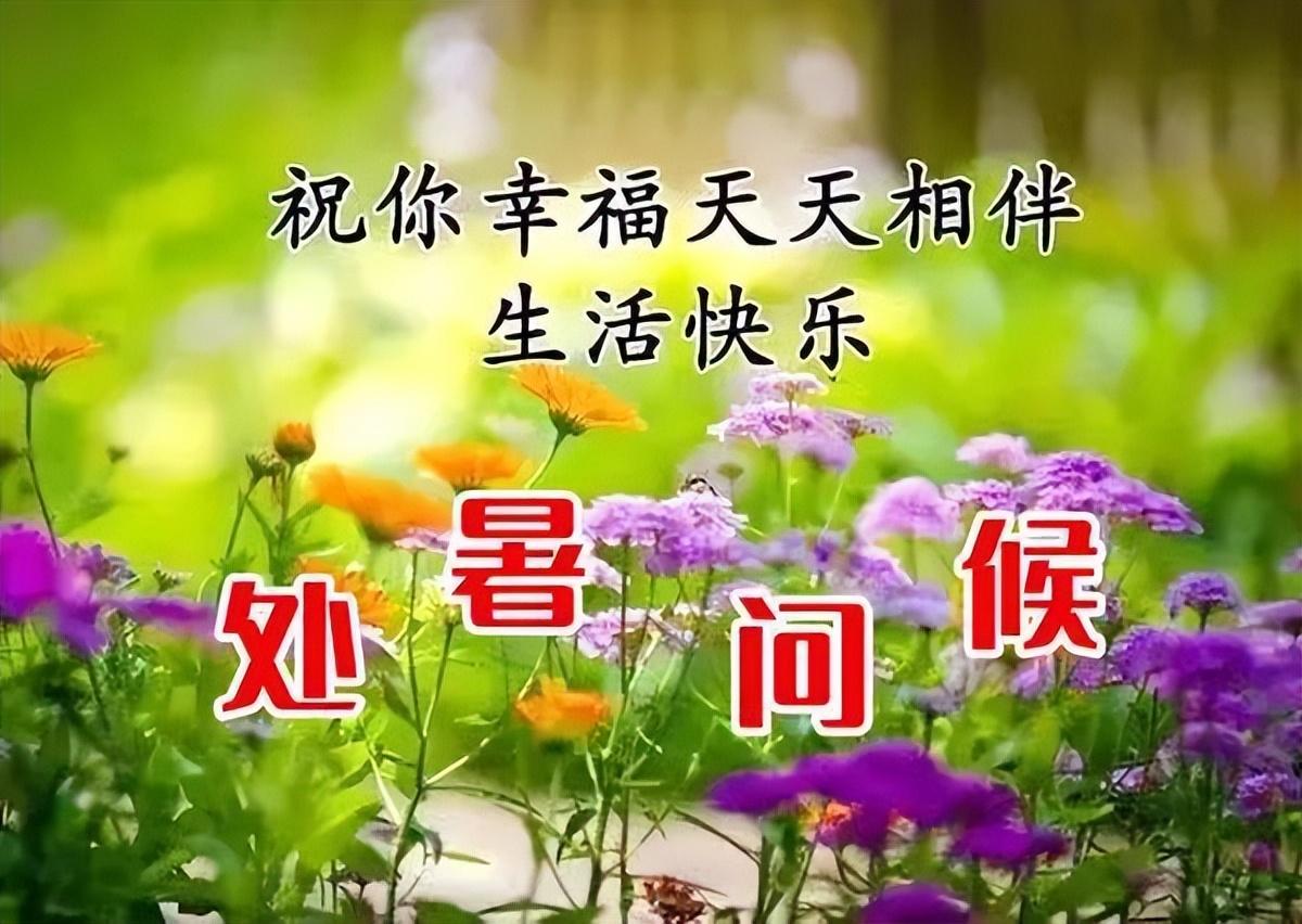 关于处暑的祝福句子（处暑短信问候语）