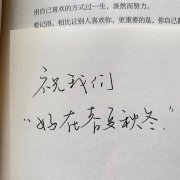 关于被遗忘的文案（出自书中的简短文案）