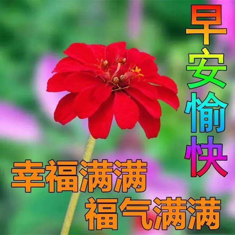 早安励志短句心语（清晨的阳光唯美句子）