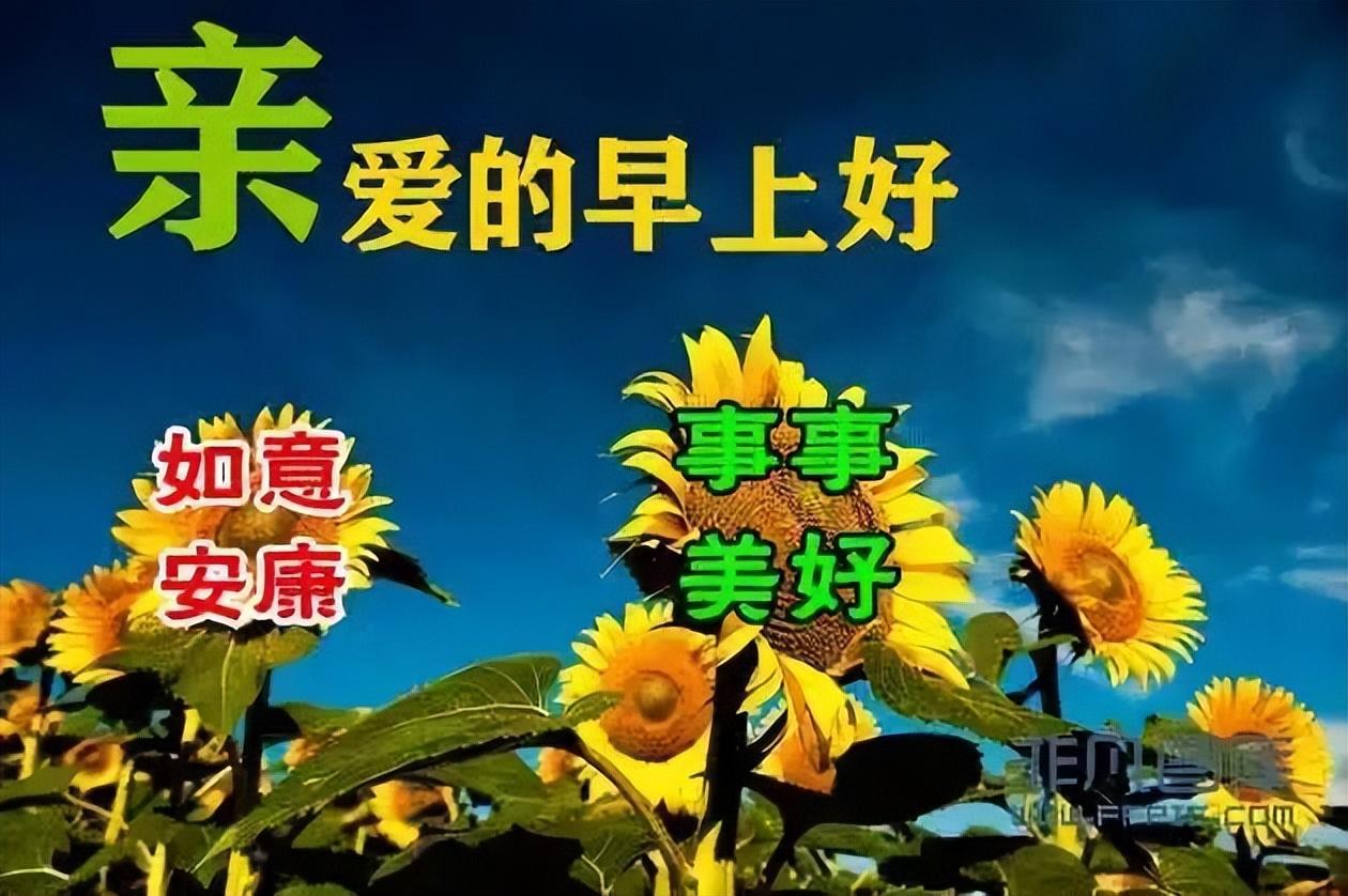 早安励志短句心语（清晨的阳光唯美句子）