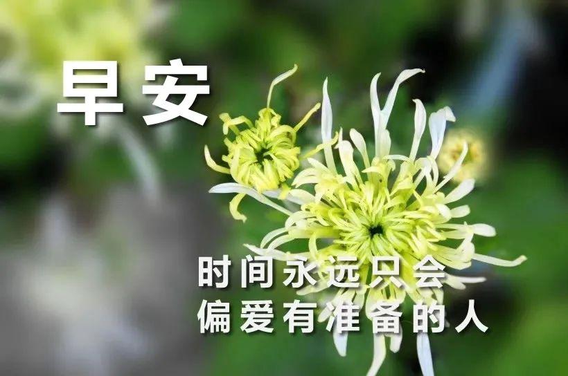 早安励志短句心语（清晨的阳光唯美句子）