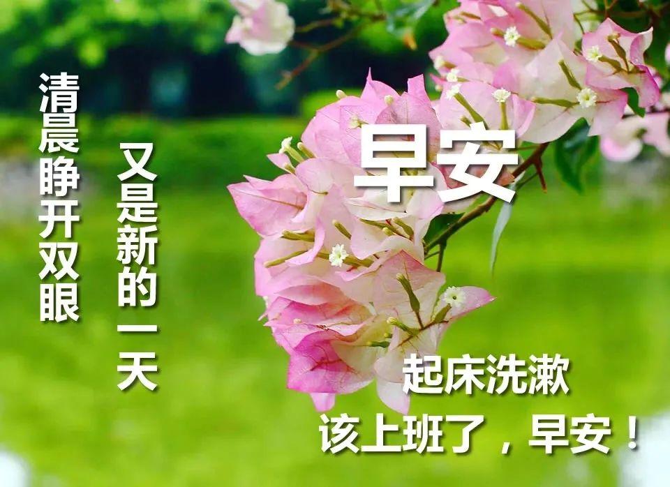 早安励志短句心语（清晨的阳光唯美句子）