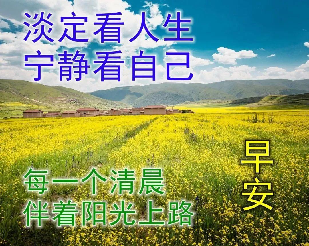 早安励志问候语录分享（每天早上祝福语）