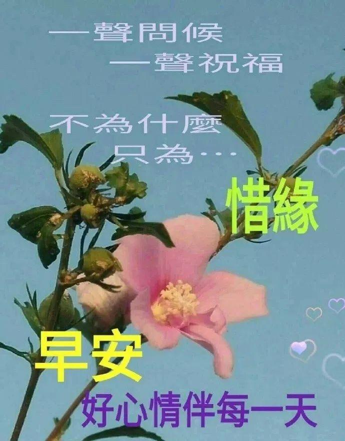 早安励志问候语录分享（每天早上祝福语）