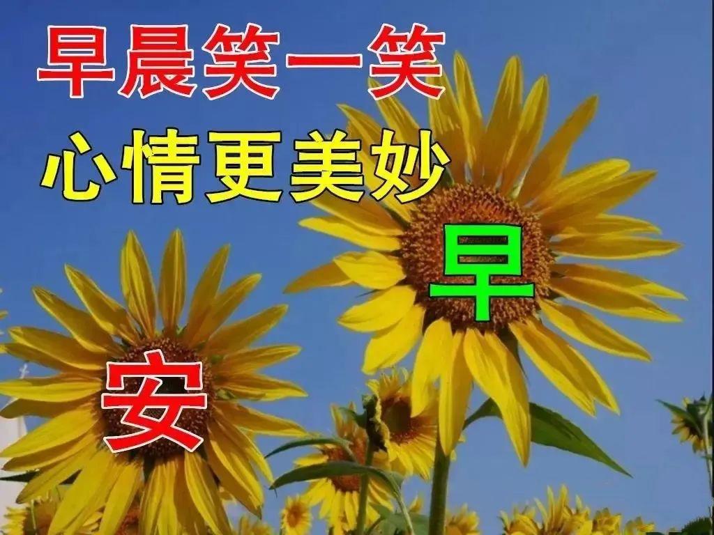 关于正能量早安经典句子（珍惜今天，珍惜现在）