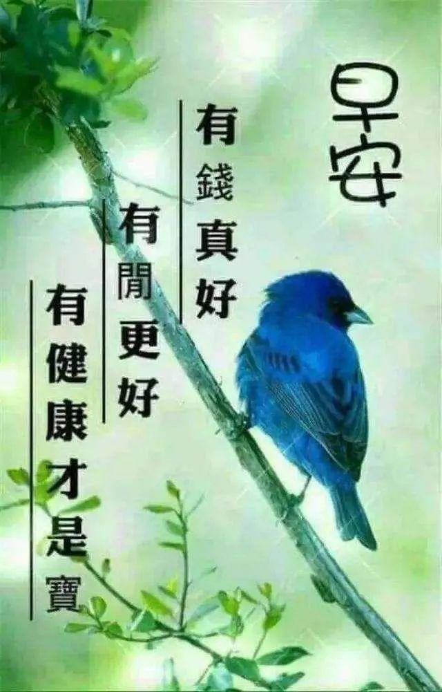 早安清晨的阳光唯美句子（早安幽默句子）