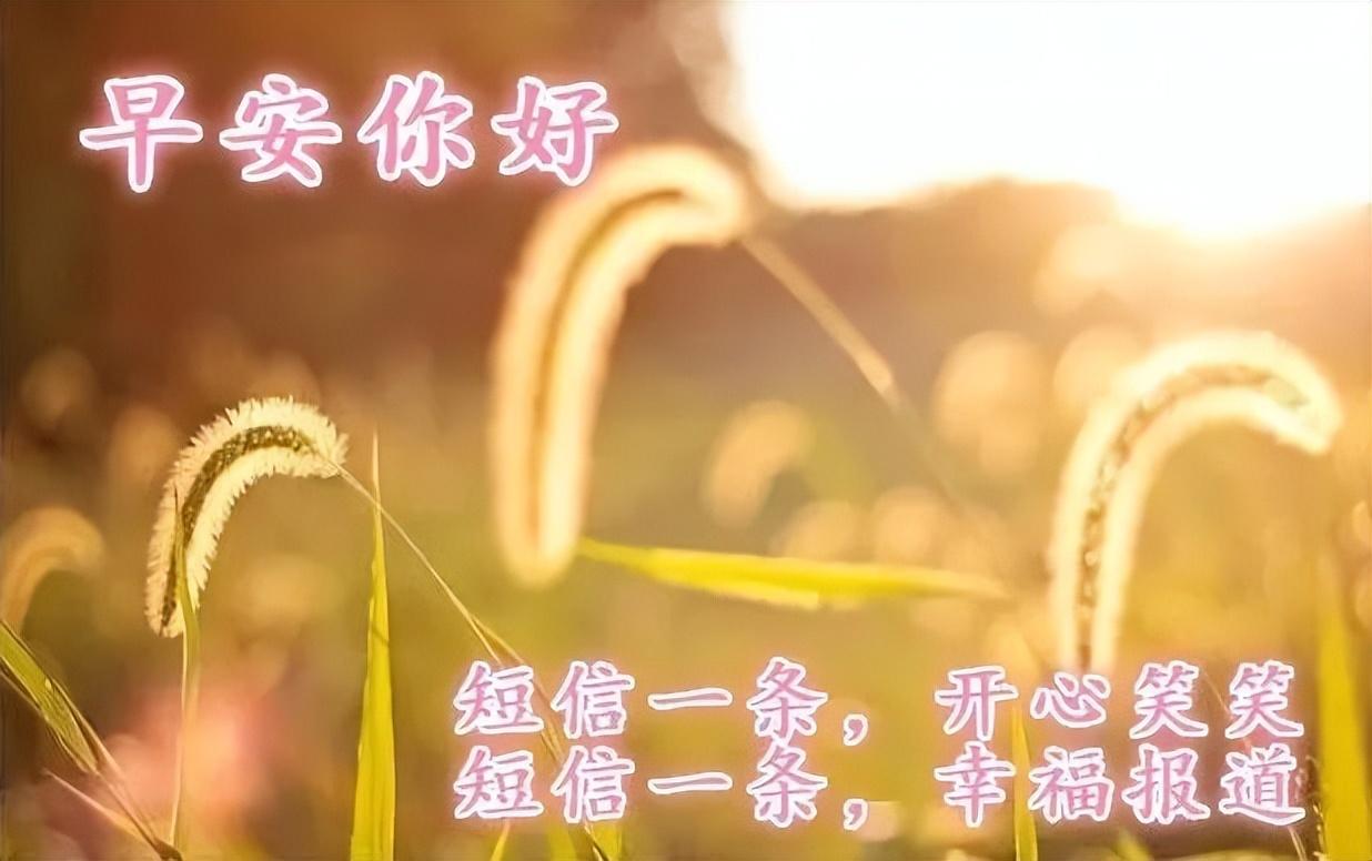 早安清晨的阳光唯美句子（早安幽默句子）