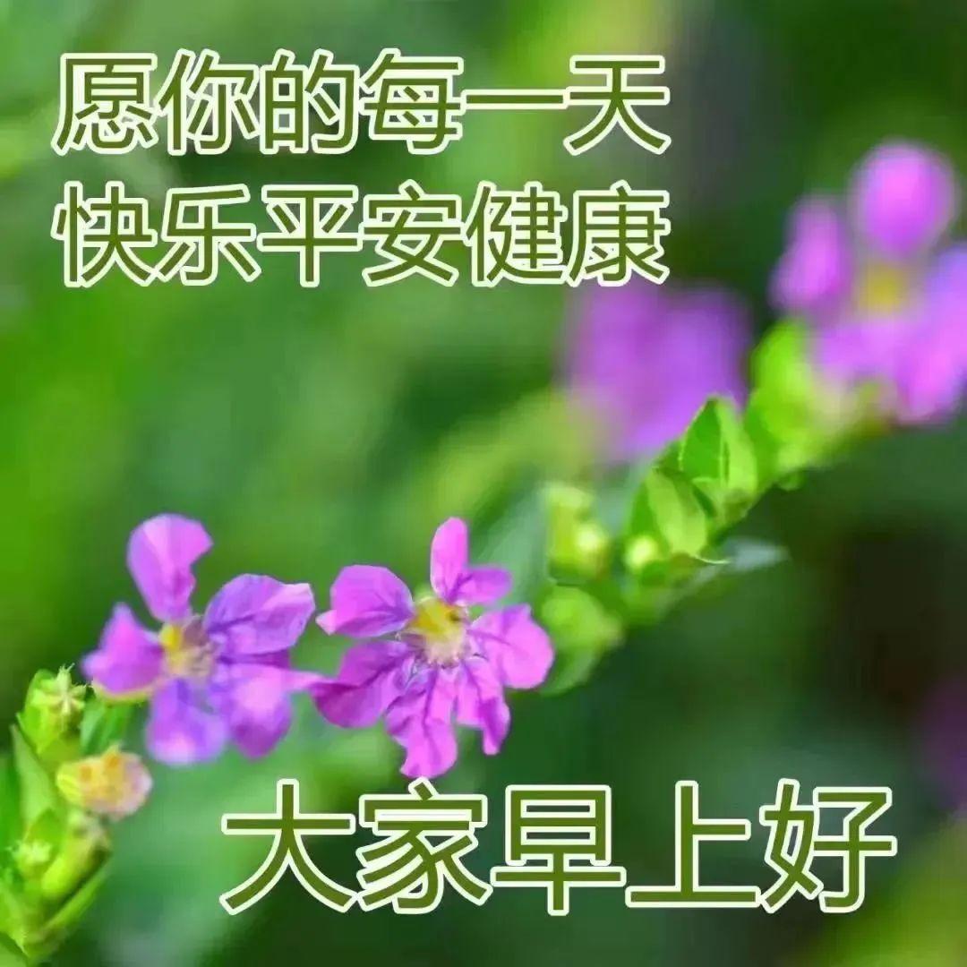 有关早安励志心语推荐（一生不可不读的励志说说）