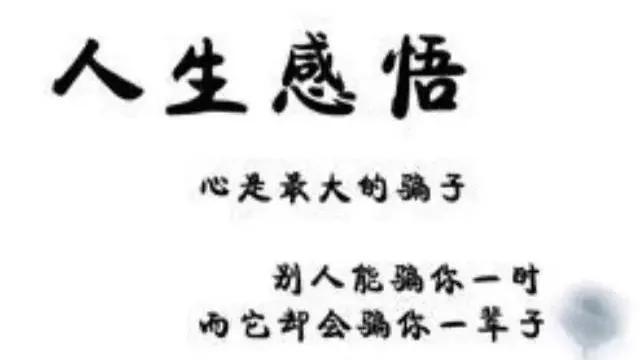 国学经典八字名句（关于八字励志名言名句摘抄）