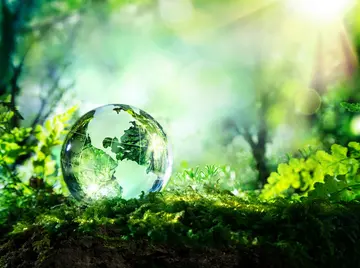 2022小学生地球日环保策划总结范文（小学生环卫地球日主题总结范例）