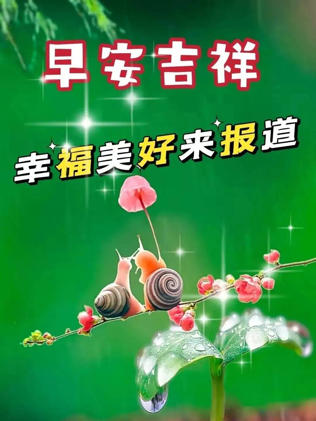 五四青年节奋斗语录（正能量励志寄语）