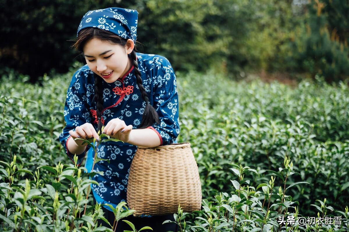 关于谷雨节气的古诗（谷雨节气的优美诗句）