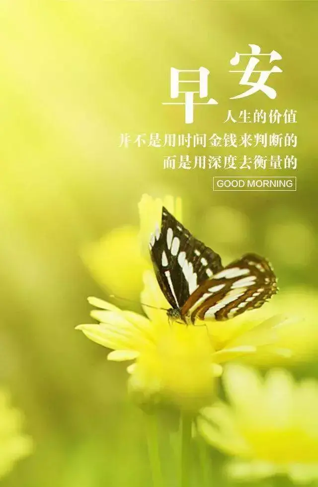 励志阳光的句子（充满美好希望的正能量短句）