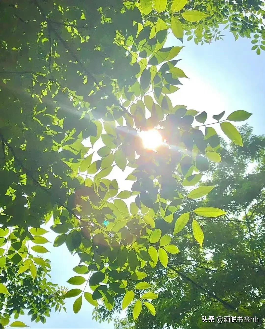 热爱生活的温柔句子（热爱生活的干净句子）