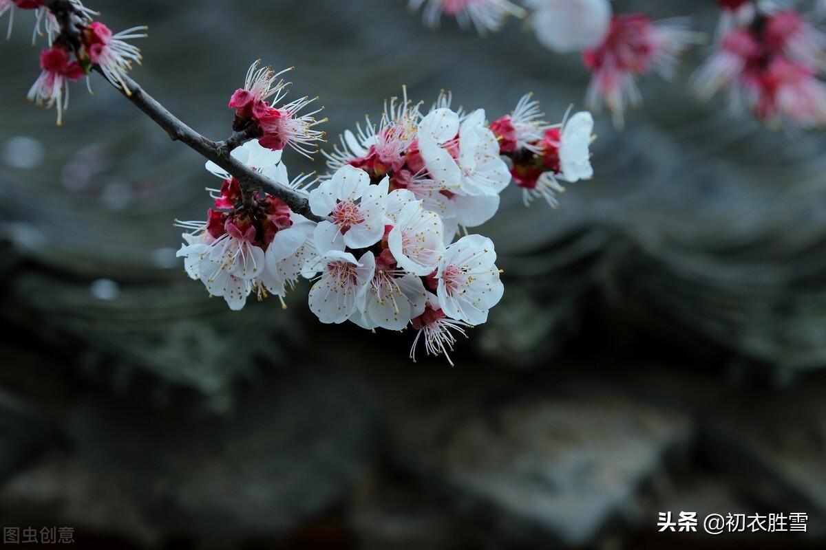 有关惊蛰节气的古诗（惊蛰节气的著名诗句）