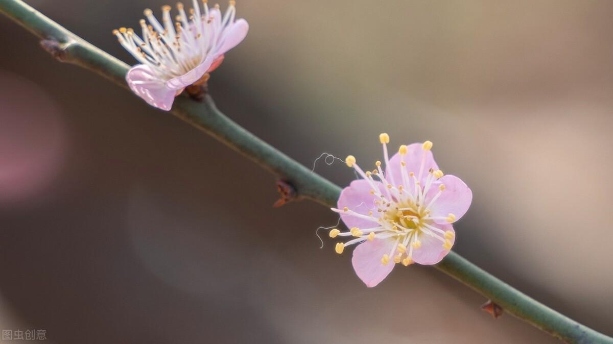 精辟人生的哲理短句（简短的哲理金句）