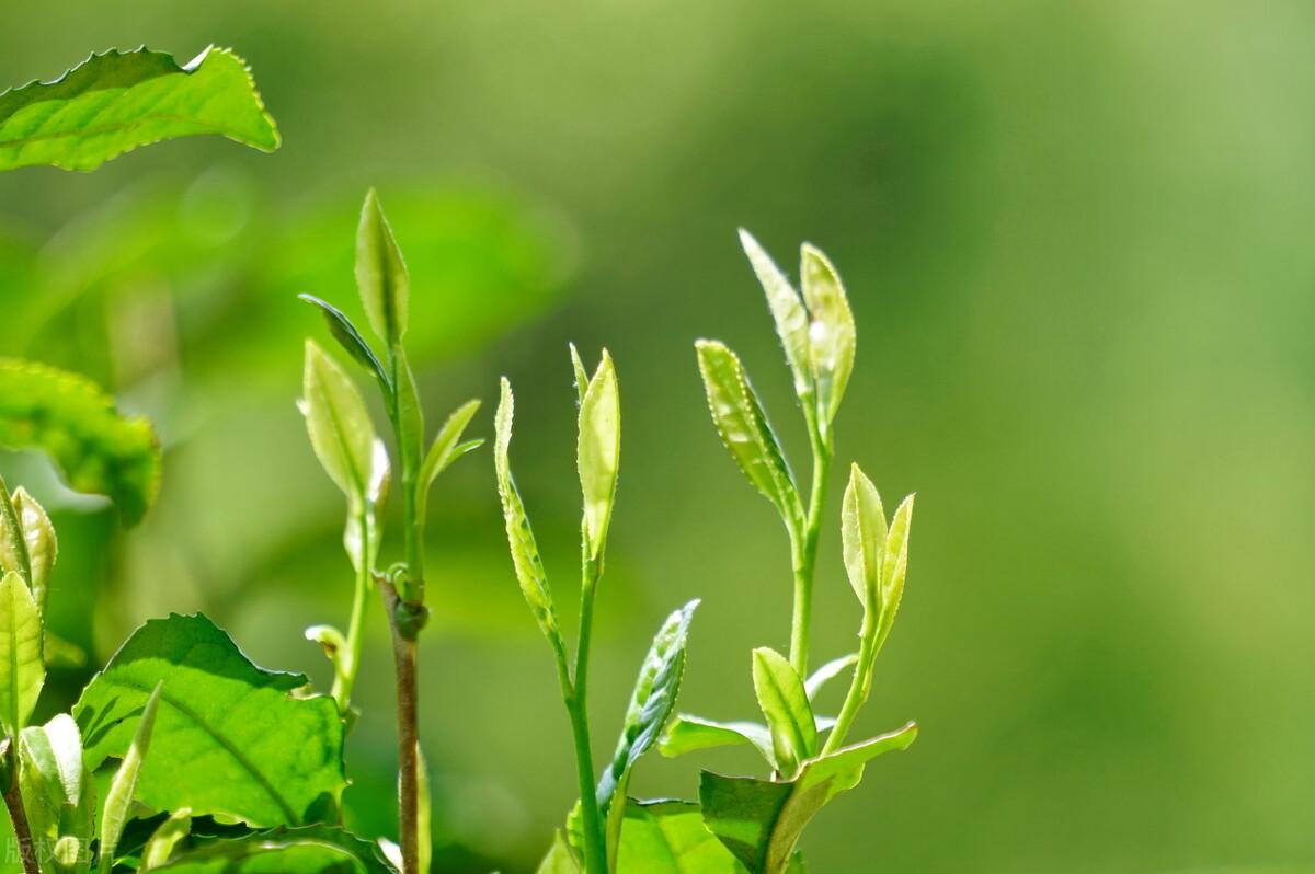 简短有力量的句子（非常简短励志文案）