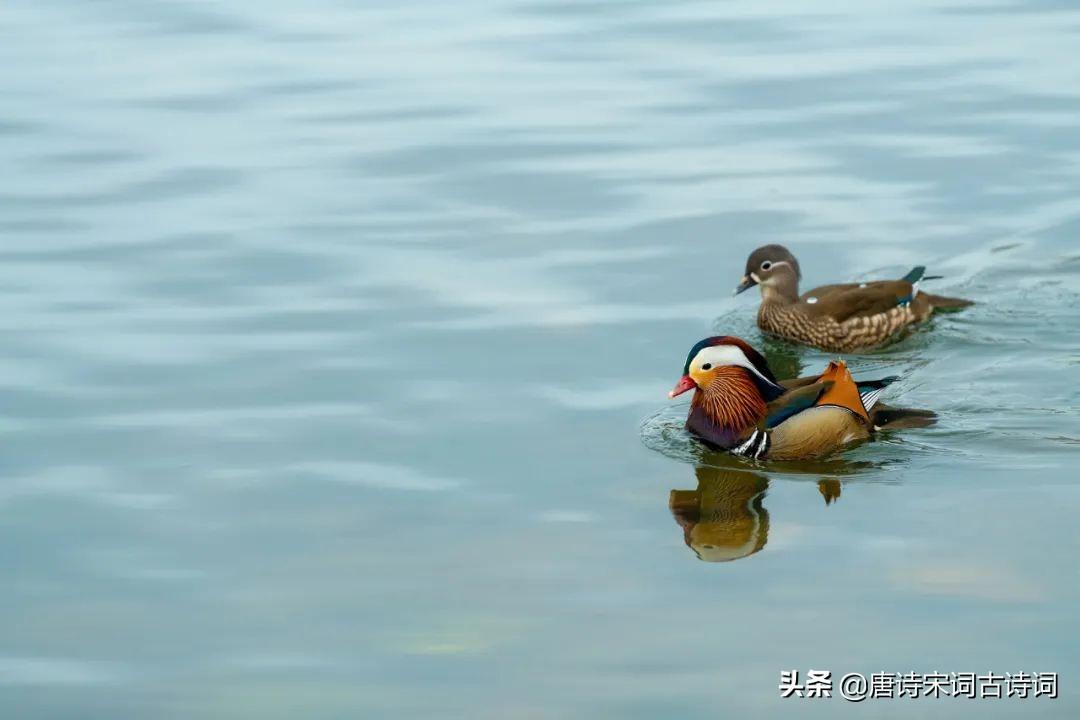 夏日情怀古诗大全（表达夏天的诗句鉴赏）