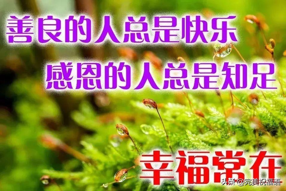 关于慰问送温暖心的句子（清晨正能量问候语录）