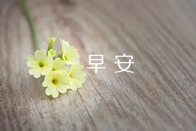 有关温暖人心的祝福语（早安暖心的问候语）