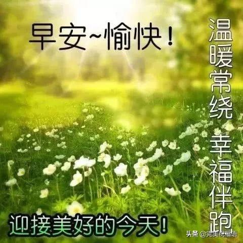 关于慰问送温暖的句子（慰问朋友暖心语录）