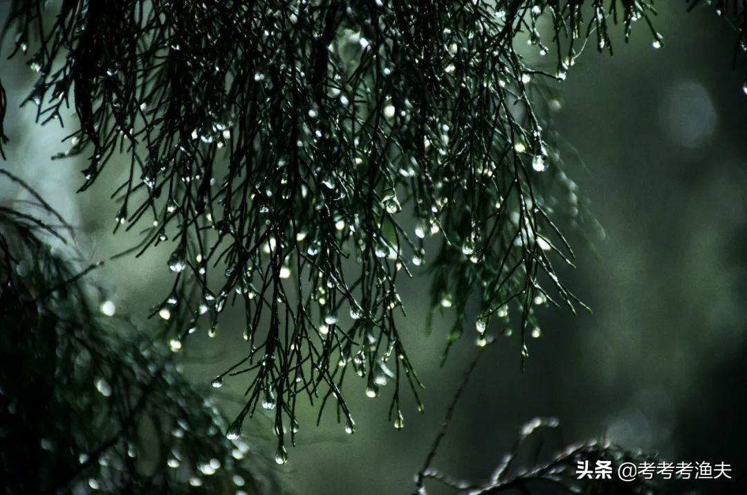 有关雨的经典句子（下雨天经典唯美短句）