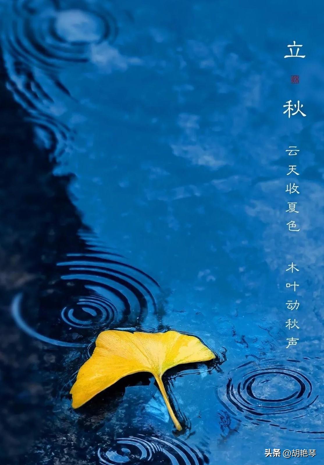 关于秋雨的诗词名句（描写秋雨的古诗词）