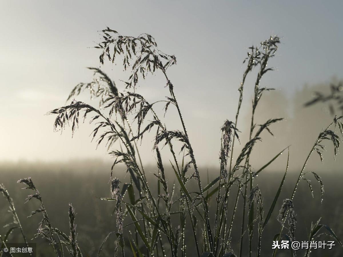 表达经典的情感语录（高情商句子）