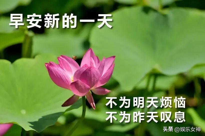 表达早晨的心情句子（温馨的早安短句）