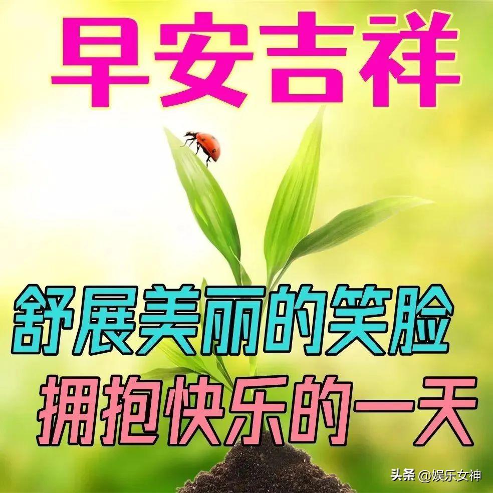 表达早晨的心情句子（温馨的早安短句）