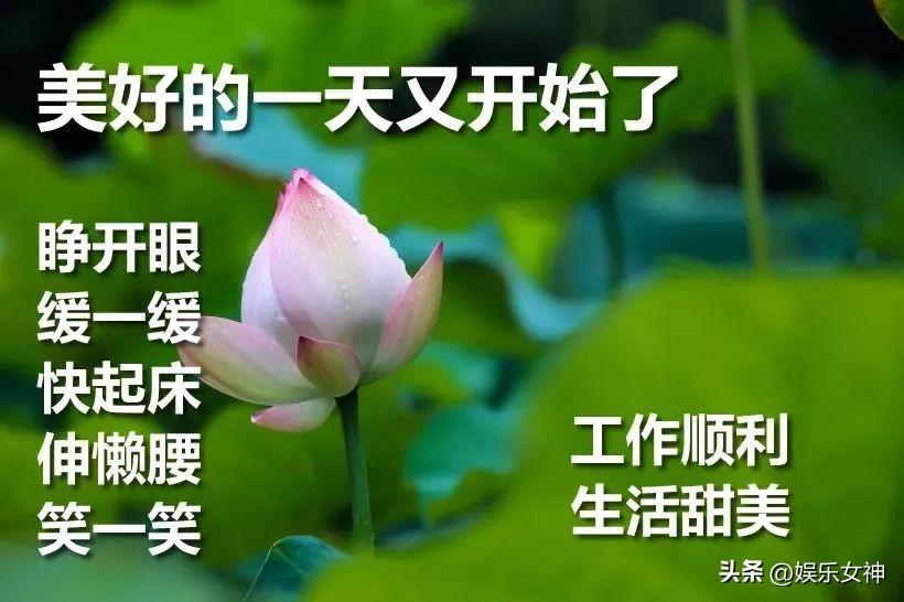 带上自己的阳光，梦想起航（早上心情美好的句子）