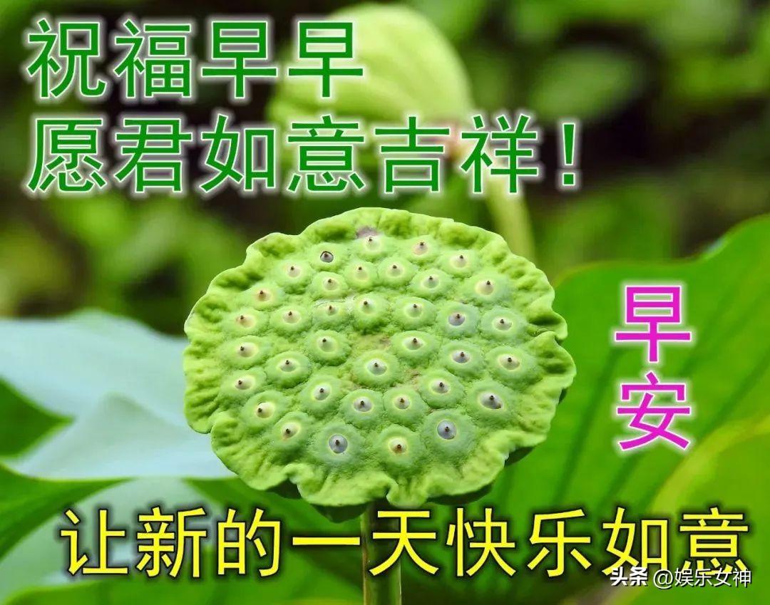 带上自己的阳光，梦想起航（早上心情美好的句子）