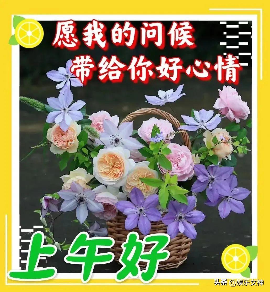 带上自己的阳光，梦想起航（早上心情美好的句子）