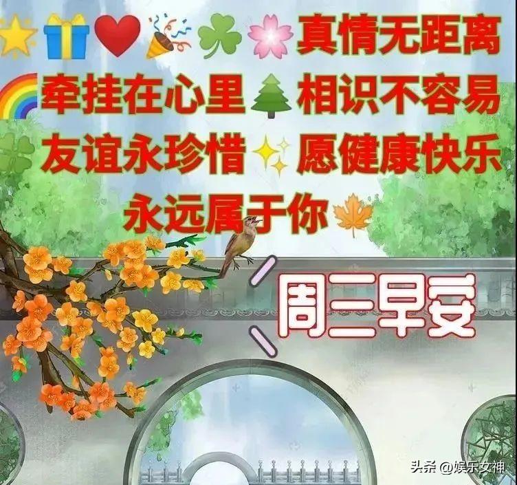 早上心情的句子推荐（早安温馨问候语录）