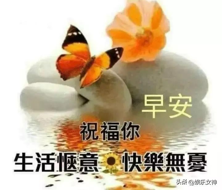 早上心情的句子推荐（早安温馨问候语录）