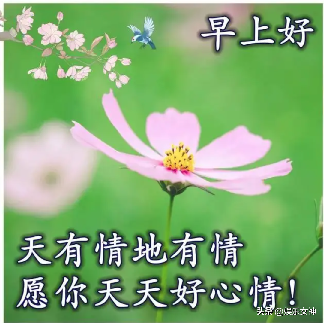 不管走在何处，都不要迷失自己（愉快唯美的早安句子）