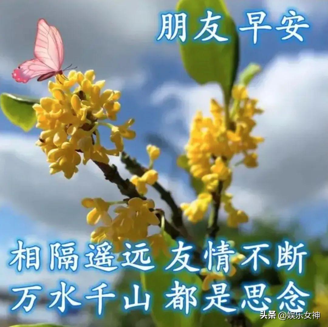 早上心情美好的句子（快乐在心间，幸福在身边）