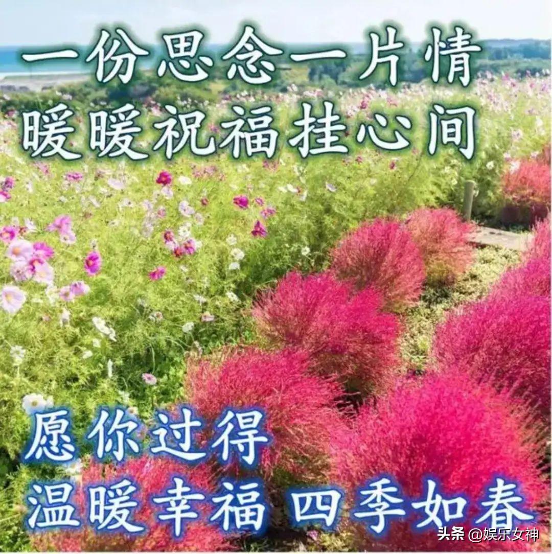 早上心情美好的句子（快乐在心间，幸福在身边）