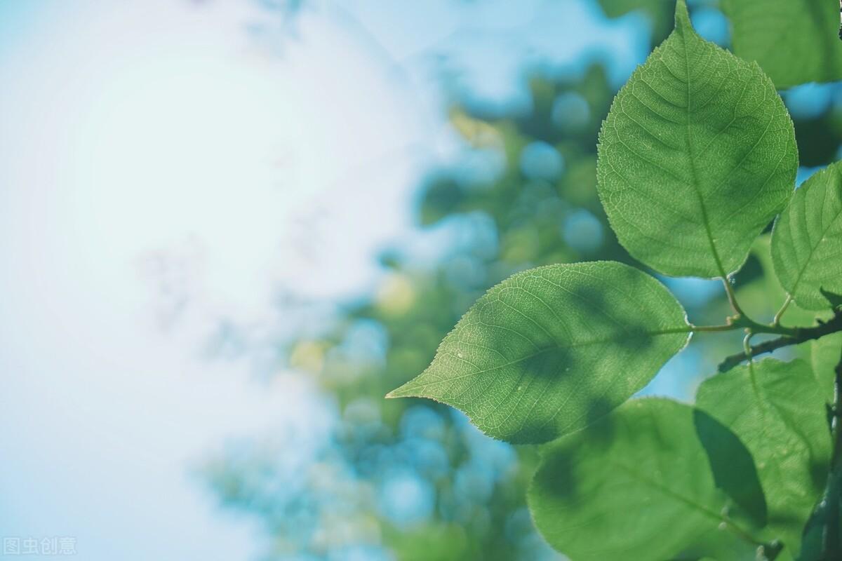 关于处暑的简短句子（处暑节气的励志文案）