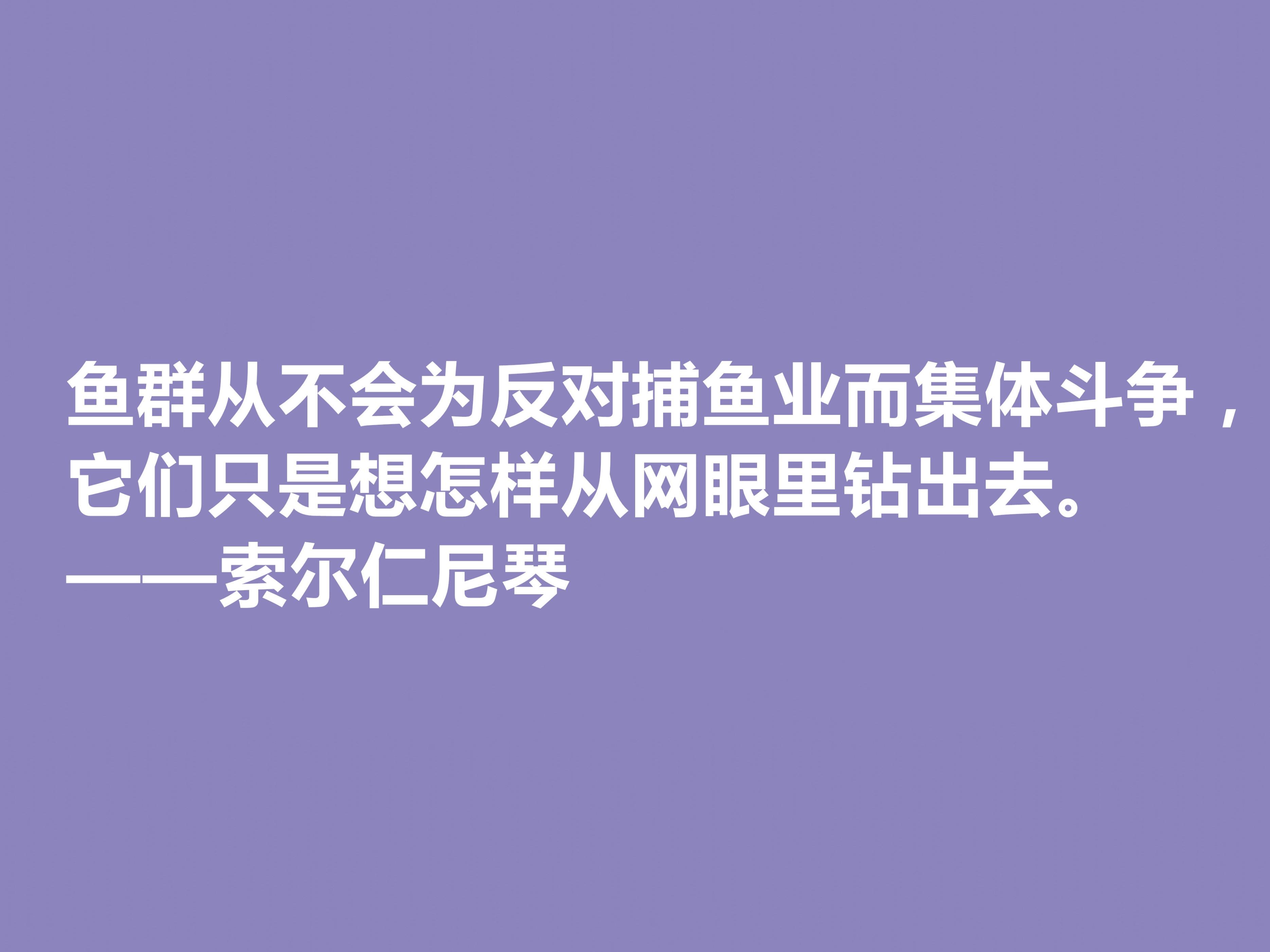 索尔仁尼琴经典语录（索尔仁尼琴著名的十句格言）