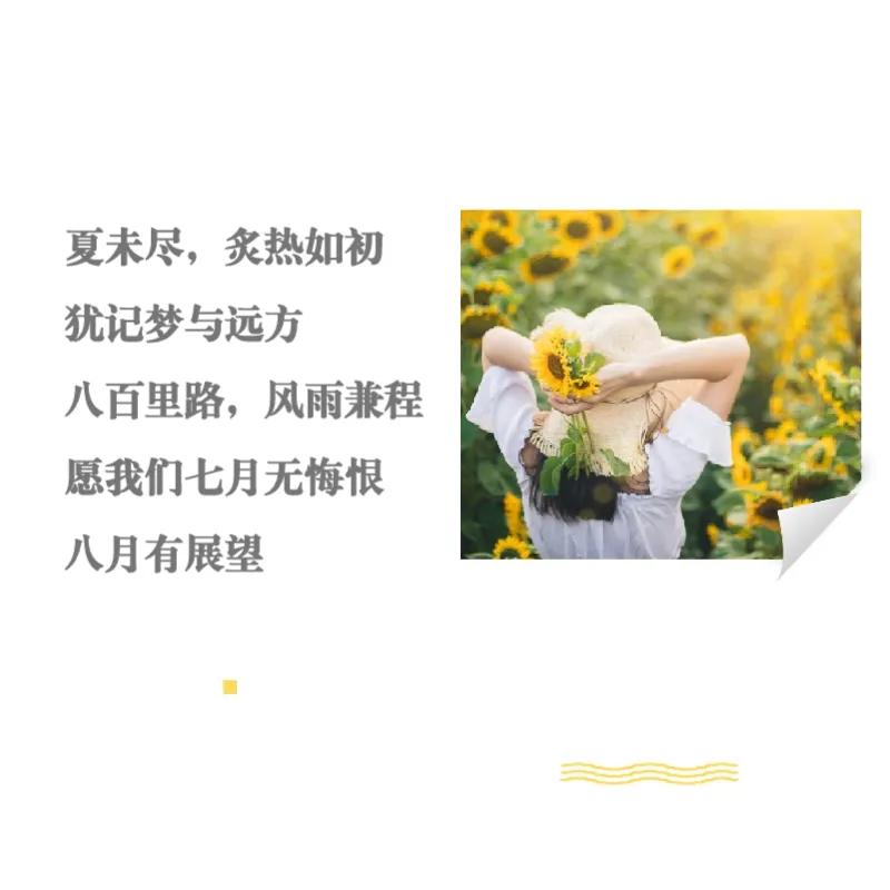 八月干净治愈文案短句（迎接8月朋友圈语录）